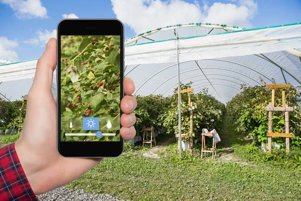 Internet of things in agriculture and smart farming — Stock Photo, Image