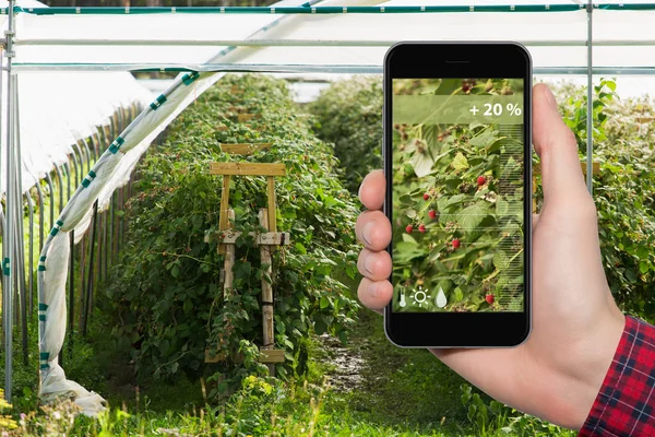 Internet of things in agriculture and smart farming — Stock Photo, Image