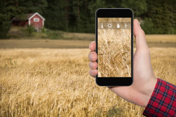 Internet of things in agriculture — Stock Photo, Image
