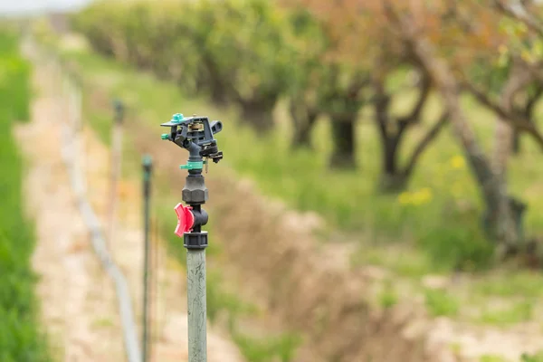 Organic farm with irrigation system. — Stock Photo, Image