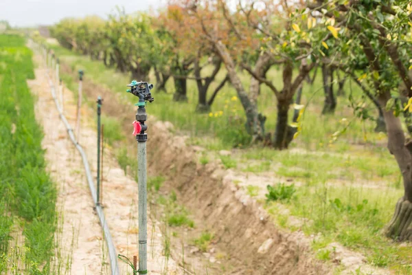 Organic farm with irrigation system. — Stock Photo, Image