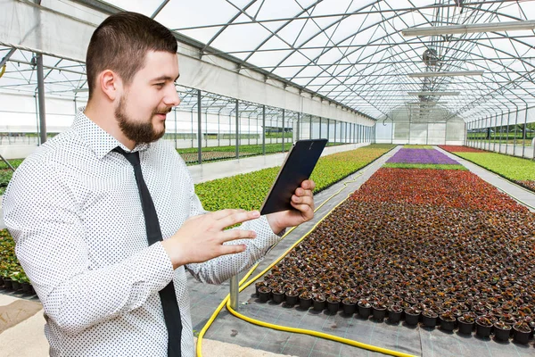 Manažer s tabletem v moderní skleník — Stock fotografie