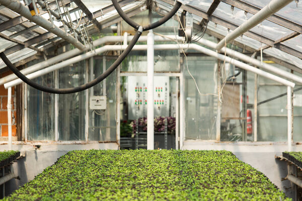 Greenhouse with microclimate control. Stock Picture