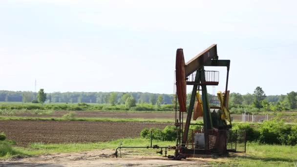 Plataformas Petrolíferas Trabajando Campo Durante Día — Vídeos de Stock