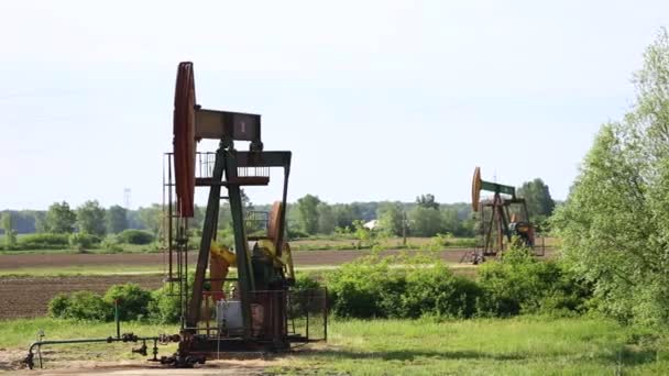 Plataformas Petrolíferas Trabajando Campo Durante Día — Vídeo de stock
