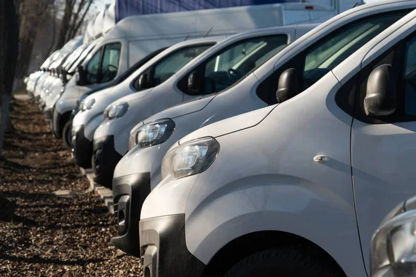 Veel Nieuwe Vrachtwagens Bestelwagens Rij — Stockfoto