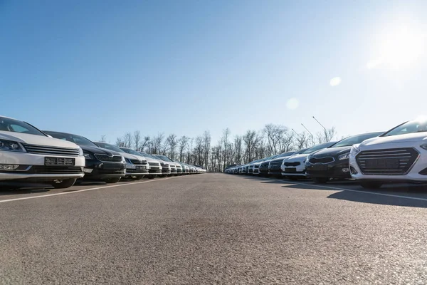 Cars Row Used Car Sales — Stock Photo, Image