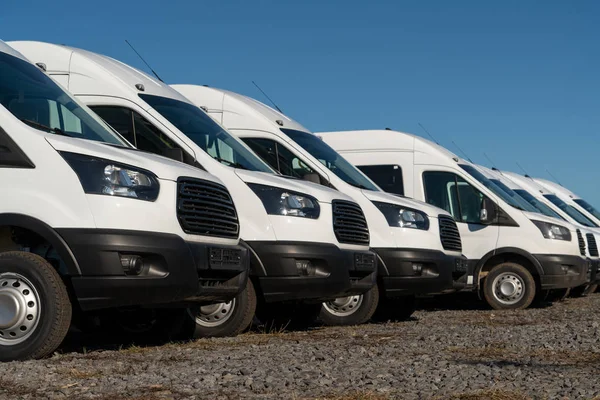 Veel Nieuwe Vrachtwagens Bestelwagens Rij — Stockfoto