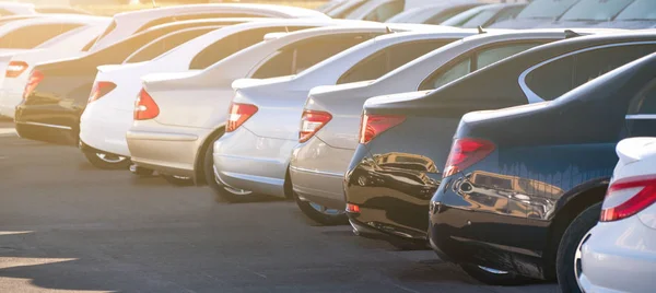 Auto Een Rij Verkoop Van Gebruikte Auto — Stockfoto