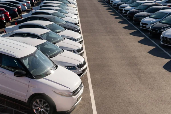 Cars Rows Used Car Sales — Stock Photo, Image