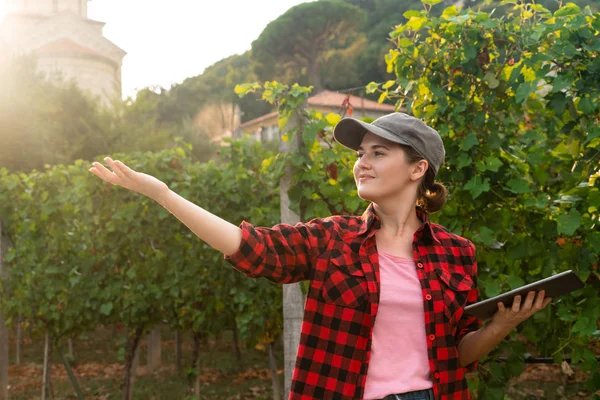 Una Agricultora Examina Viña Envía Datos Nube Desde Tableta Agricultura — Foto de Stock