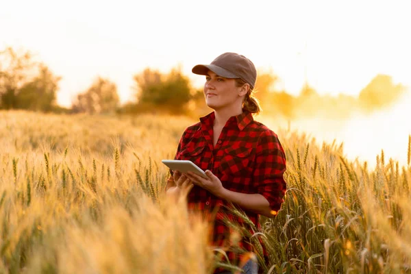 Uma Agricultora Examina Campo Cereais Envia Dados Para Nuvem Partir — Fotografia de Stock