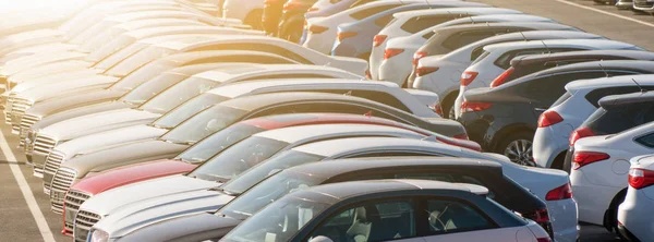 Cars Rows Used Car Sales — Stock Photo, Image