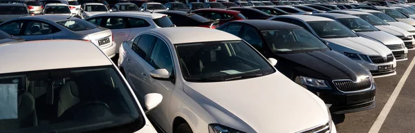 Cars Rows Used Car Sales — 스톡 사진