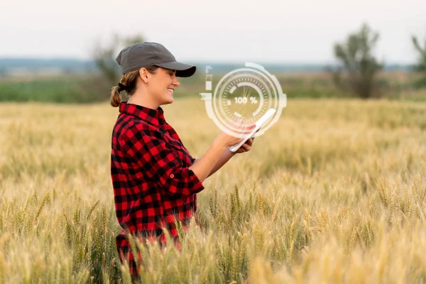 Žena Farmář Zkoumá Pole Obilovin Posílá Data Cloudu Tabletu Inteligentní — Stock fotografie