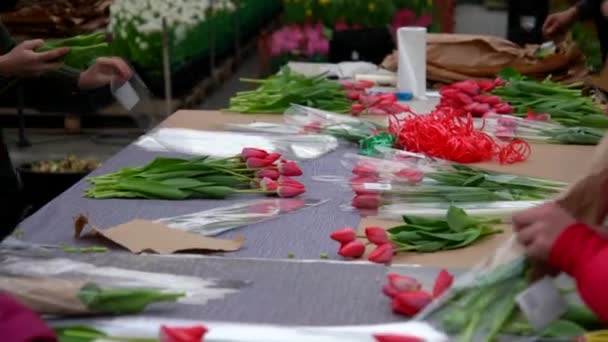 Floristas Invernadero Recogen Ramos Tulipanes Para Entrega — Vídeo de stock