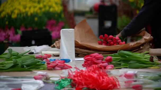 Floristen Einem Gewächshaus Sammeln Sträuße Von Tulpen Für Die Lieferung — Stockvideo