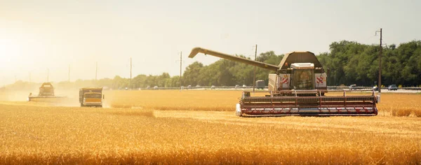 Combine Cosechadora Campo Atardecer — Foto de Stock