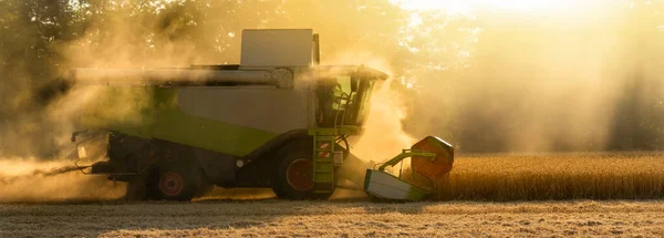 Combineer Oogstmachine Het Veld Bij Zonsondergang — Stockfoto