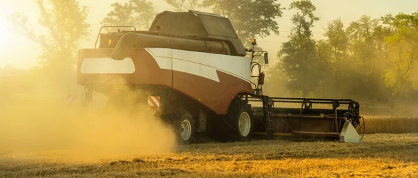 Combine Harvester Field Sunset — Stock Photo, Image