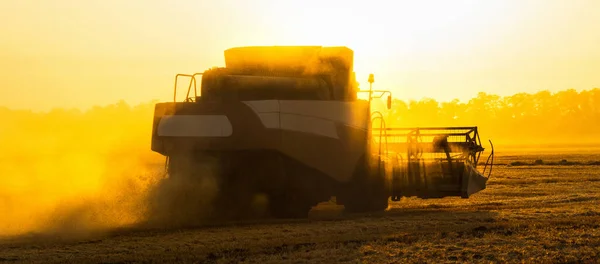 Combiner Moissonneuse Sur Terrain Coucher Soleil — Photo