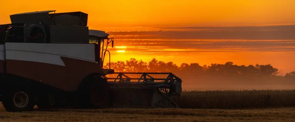 日没時に畑の収穫者を組み合わせる — ストック写真