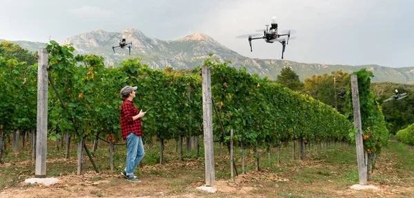 Woman farmer controls drone sprayer with a tablet. Smart farming and precision agriculture