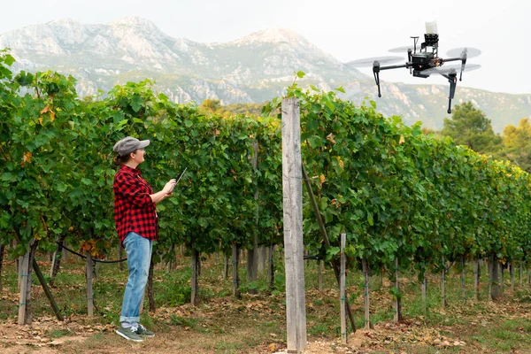 Woman farmer controls drone sprayer with a tablet. Smart farming and precision agriculture