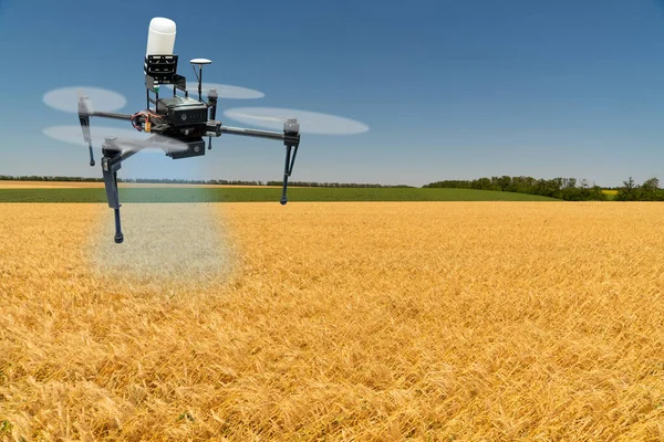 Drohne Fliegt Über Ein Weizenfeld Smart Farming Und Präzisionslandwirtschaft — Stockfoto