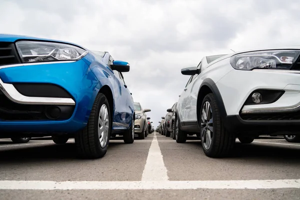 New Cars Rows — Stock Photo, Image