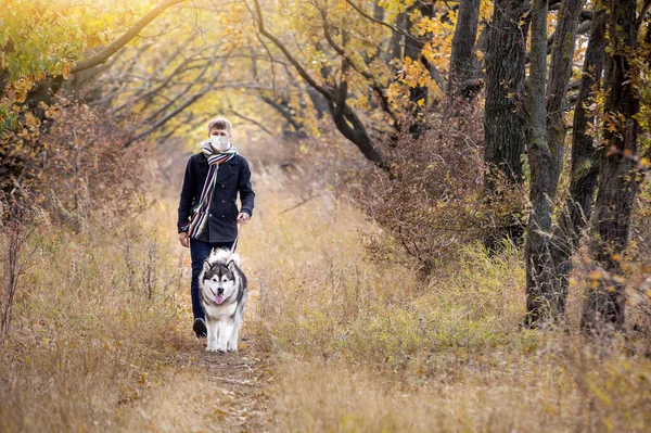 Egy Orvosi Maszkos Férfi Kutyát Sétáltat Erdőben Karantén Alatt — Stock Fotó