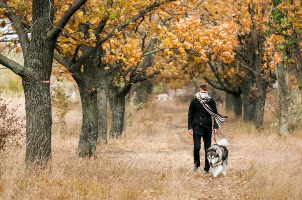 Tıbbi Maskeli Bir Adam Karantina Sırasında Ormanda Bir Köpeği Gezdirir — Stok fotoğraf