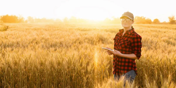 Kobieta Rolnik Bada Pole Zbóż Wysyła Dane Chmury Tabletu Inteligentne — Zdjęcie stockowe
