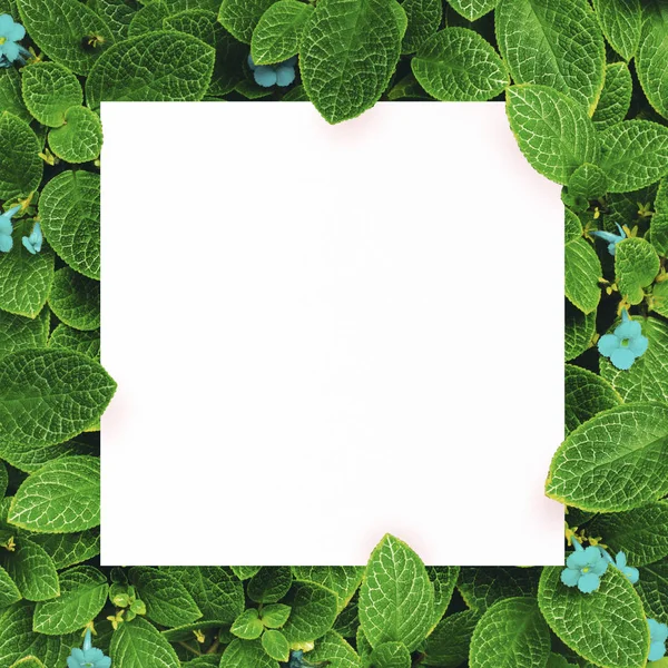 Merkezi yaprak yeşil zemin üzerine beyaz kağıt boş alan montajı için metin.