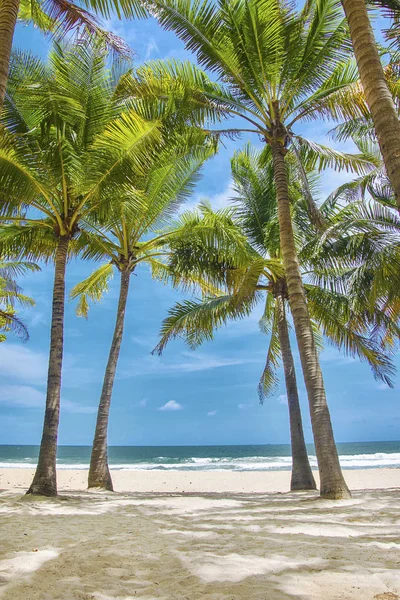 günbatımı zaman, sörf gün Beach'de.