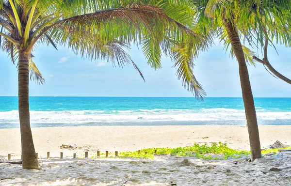 günbatımı zaman, sörf gün Beach'de.