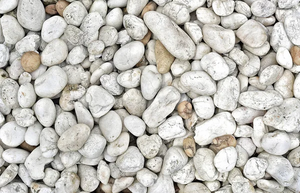 Background texture of white stone ground — Stock Photo, Image