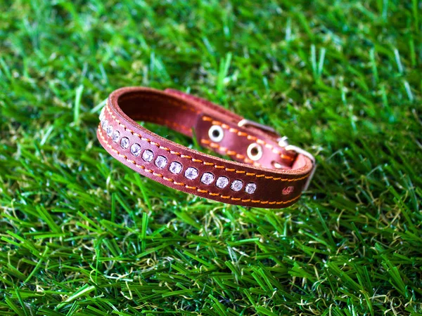 Leather Collar for Dogs