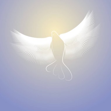 Sihirli güvercin. Güvercin çizgilerle ve kanatlı genişletilmiş görüntü. 