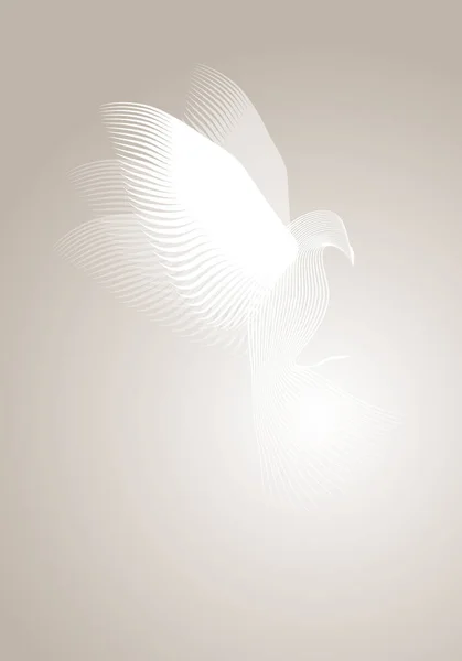 Magische Taube mit Linien auf nebligem Hintergrund. Vektorillustration. — Stockvektor