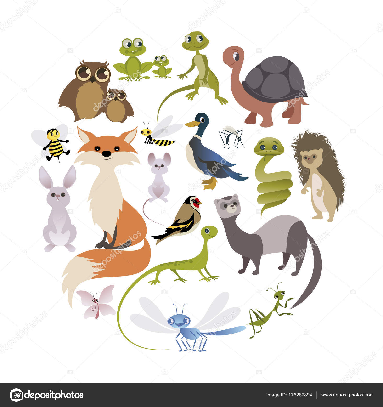 Circle of cute animals. Mammals, amphibians, reptiles, insects and birds Stock Vector Image by ©LaInspiratriz #176287894 Circle of cute animals. Mammals, amphibians, reptiles, insects and birds Stock Vector Image by ©LaInspiratriz #176287894
