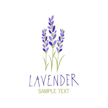 Lavanta çiçeği. Logo tasarımı. Metin elle çizilmiş.
