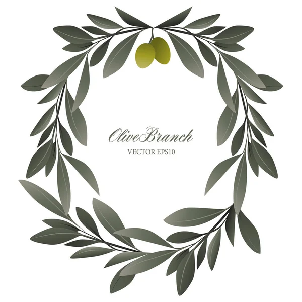 Corona de rama de olivo aislada. Ilustración vectorial — Vector de stock