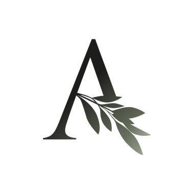 Büyük harf üzerine zeytin dalı beyaz arkaplanda izole