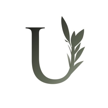 Büyük harf üzerine zeytin dalı beyaz arkaplanda izole