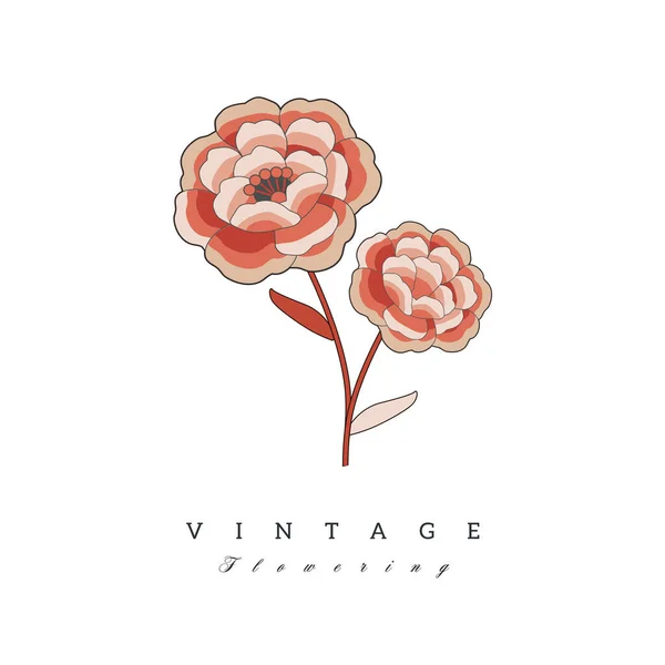 Flor Retrô Vintage Estilizada Logotipo Marca Estilo Natural Isolado Fundo —  Vetores de Stock