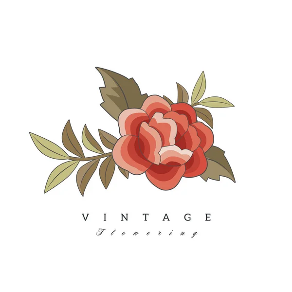 Stylized Vintage Retro Flower Natural Style Brand Logo Isolated White — Stock Vector