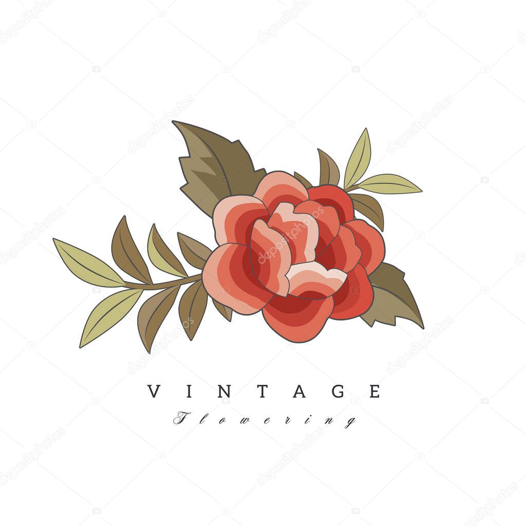 Stylized vintage retro flower. Natural style brand logo isolated on white background