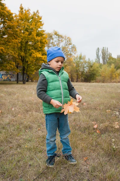 Крупним планом молодий хлопчик грає з автономним листям — стокове фото