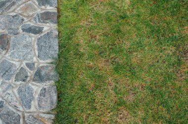 Taş duvar ve yeşil çimenler